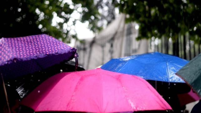 calor, lluvias y viento: asi estara el clima en la plata durante toda la semana