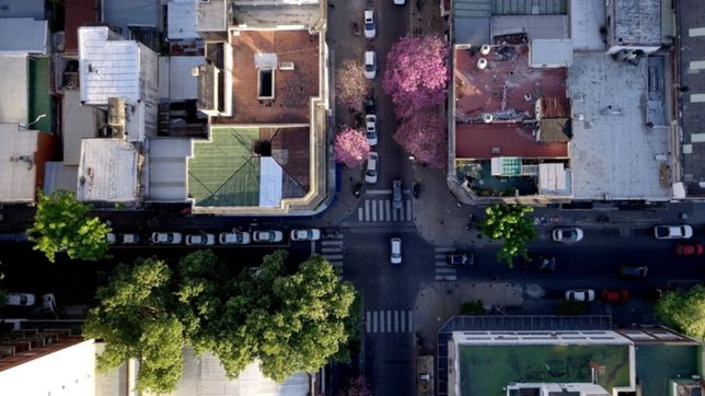 la municipalidad convoca a vecinos y ongs para ayudar a reforestar la plata