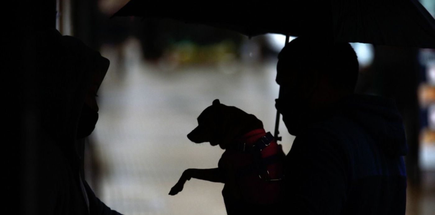 1598373758135.jpg?x= 6&y=65&width=1502&height=751&rotate=0&scaleX=1&scaleY=1&ow=1500&oh=996&&cw=1920&ch=950