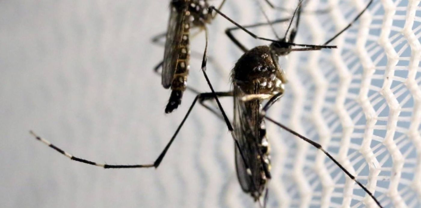 1582765968483.jpg?width=1448&height=724&rotate=0&scaleX=1&scaleY=1&oh=976&x=10&ow=1464&y=198&&cw=1920&ch=950