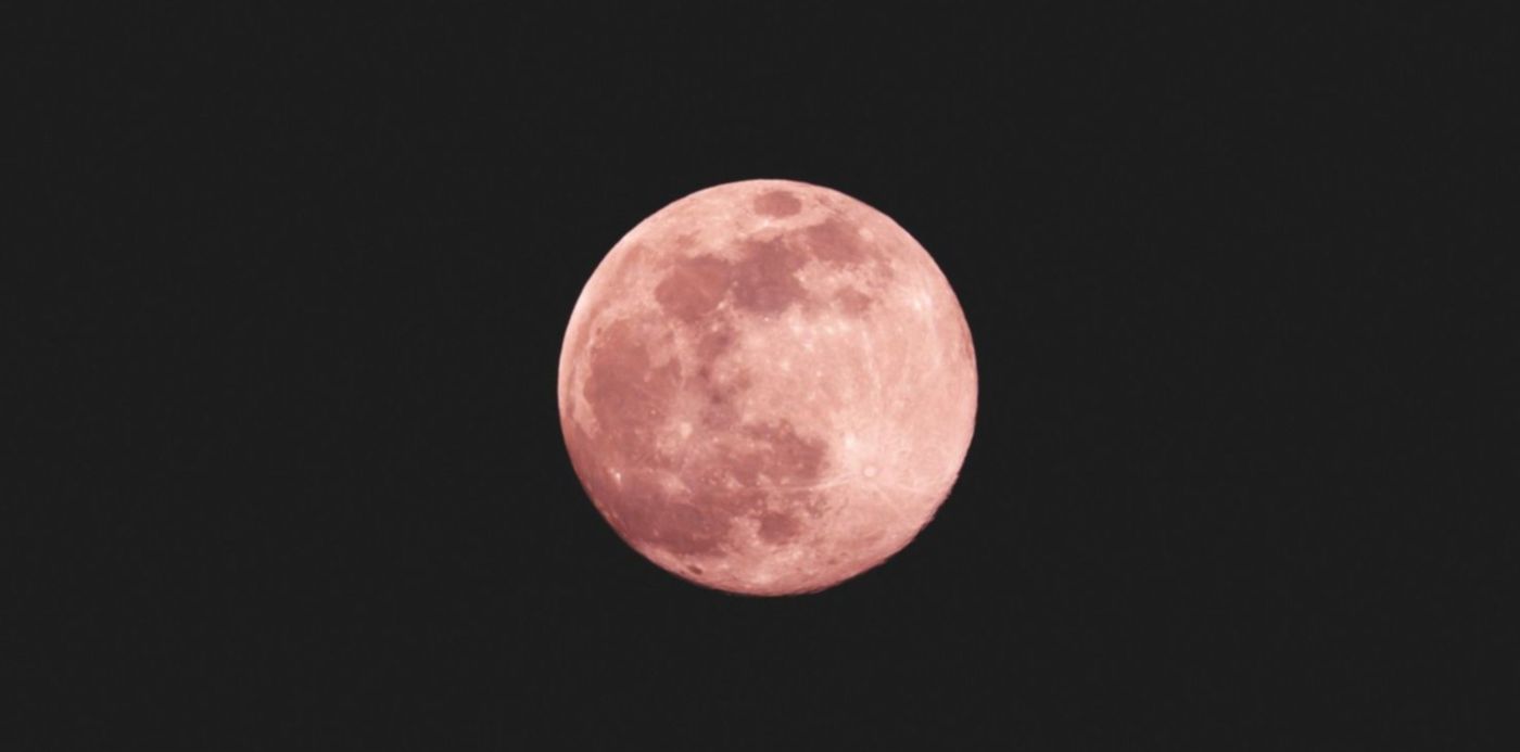 1680554211821.jpg?x=7&y=37&width=1481&height=741&rotate=0&scaleX=1&scaleY=1&ow=1500&oh=843&&cw=1920&ch=950