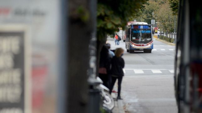 el transporte publico sera gratis para ir a votar en las paso y las generales
