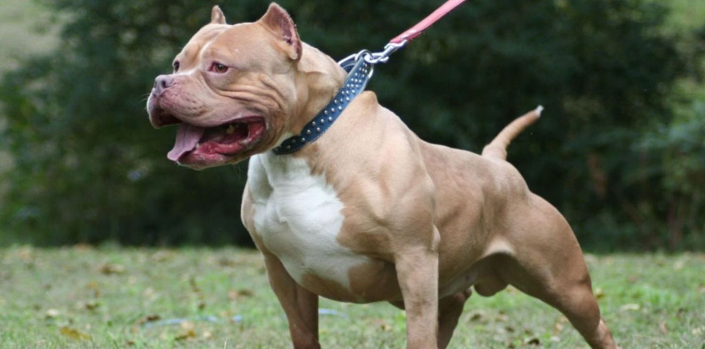 1565197114143.jpg?x=11&y=7&width=1483&height=741&rotate=0&scaleX=1&scaleY=1&ow=1500&oh=843&&cw=1920&ch=950