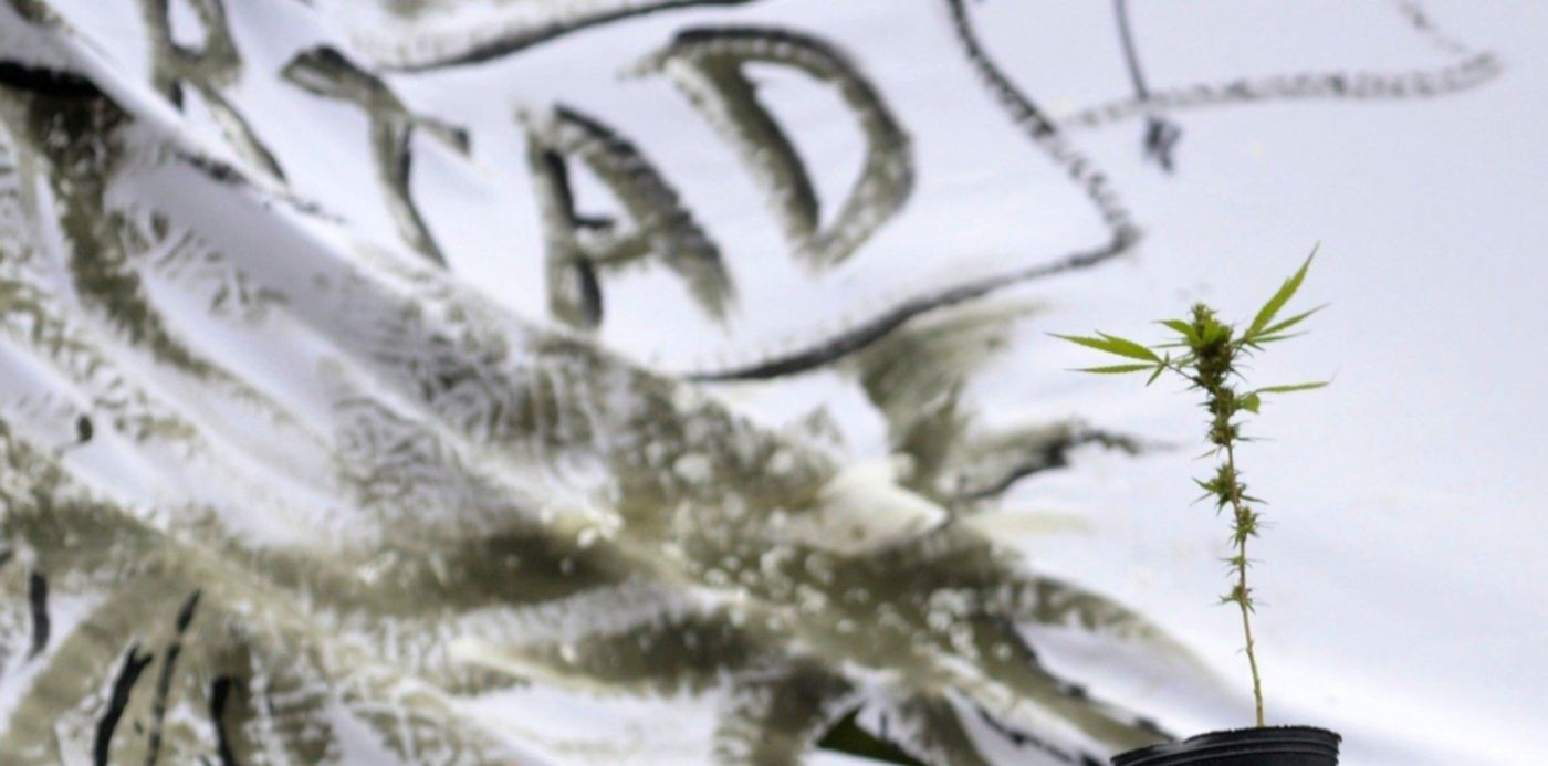 1556391549503.jpg?&cw=1920&ch=950