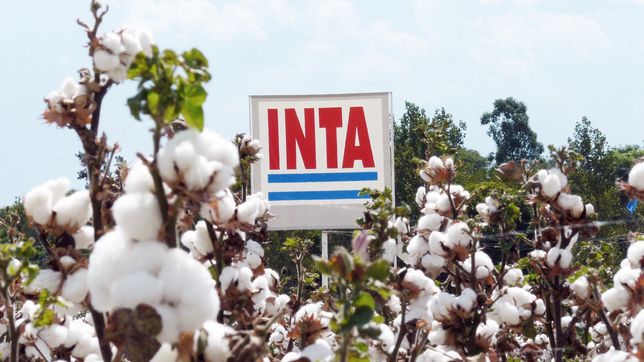 el gobierno dejo sin efecto los recortes en el inta, vialidad nacional y otros organismos