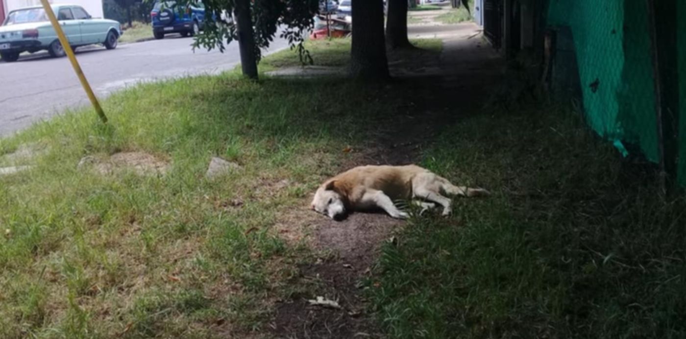 1579443467367.jpg?rotate=0&oh=720&x=5&y=194&width=953&height=476&scaleX=1&scaleY=1&ow=960&&cw=1920&ch=950