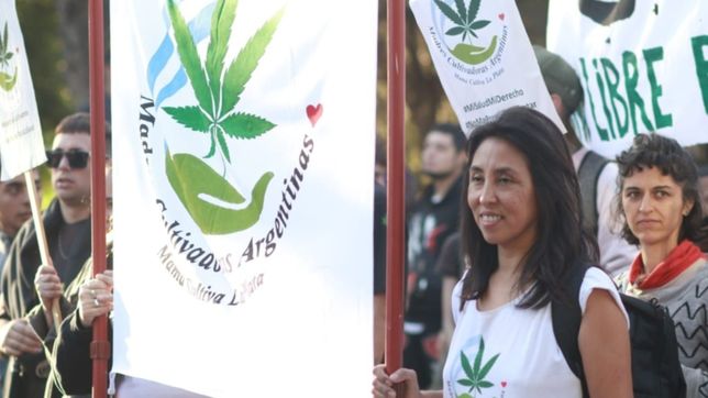 la plata fue escenario de una nueva marcha por la legalizacion de la marihuana