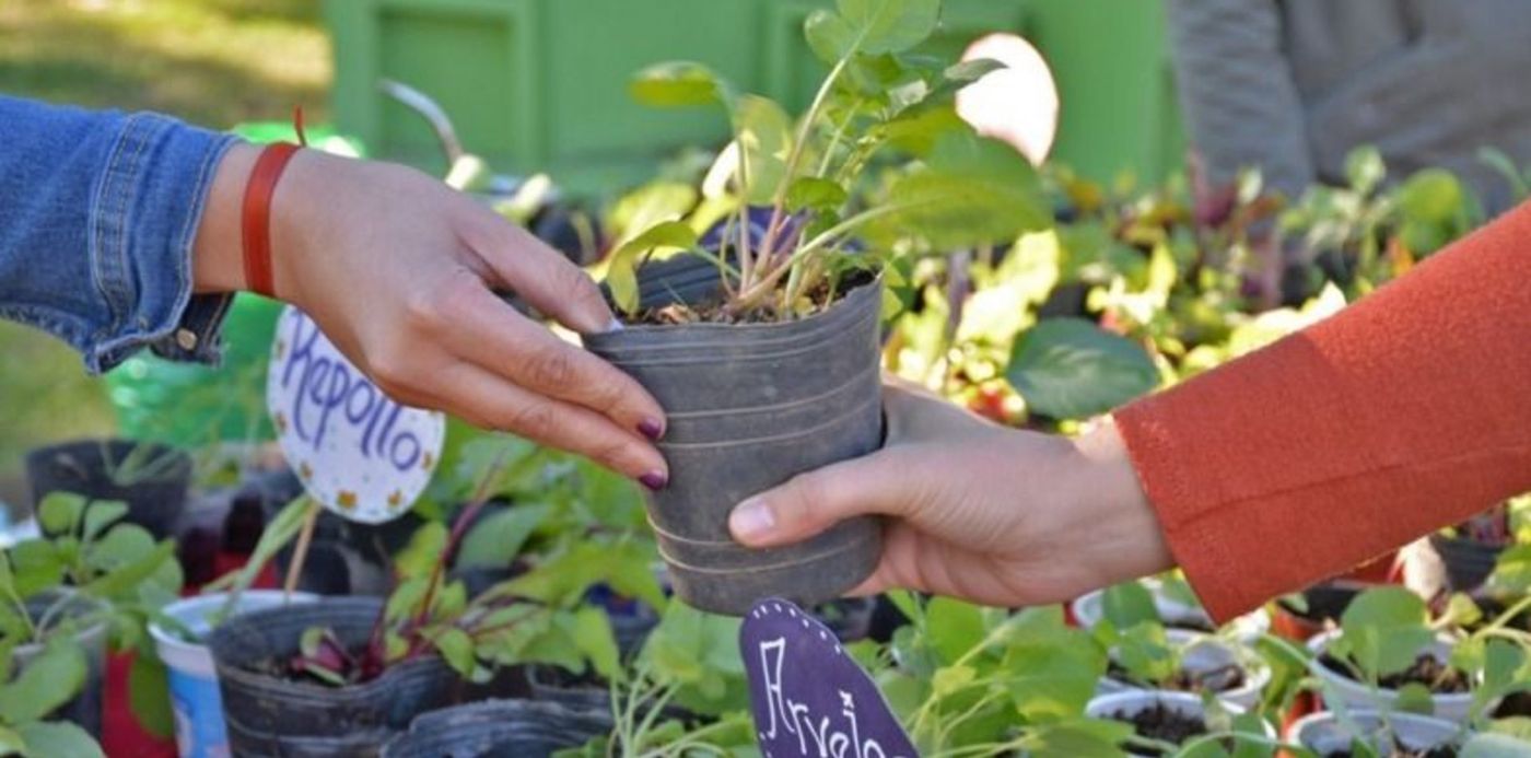 1583174295134.jpg?x=8&y=11&width=784&height=392&rotate=0&scaleX=1&scaleY=1&ow=800&oh=533&&cw=1920&ch=950