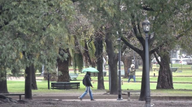 sigue la llovizna y la humedad en la plata: ¿como va a estar el fin de semana?