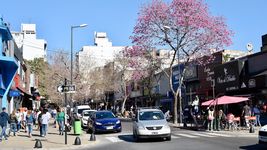 removeran las bicisendas de calle 12 tras el anuncio de obras en los centros comerciales de la plata removeran las bicisendas de calle 12 tras el anuncio de obras en los centros comerciales de la plata