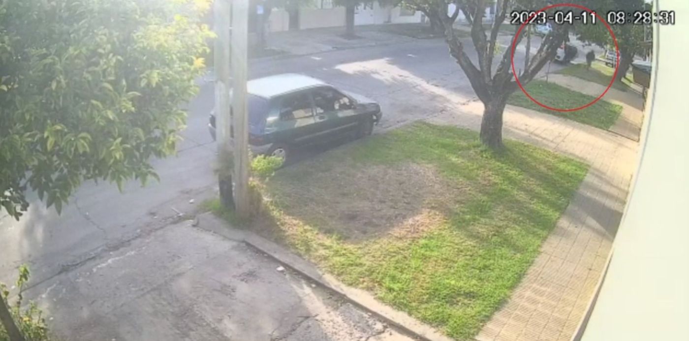 1681329475407.jpg?x=3&y=2&width=1494&height=746&rotate=0&scaleX=1&scaleY=1&ow=1500&oh=830&&cw=1920&ch=950