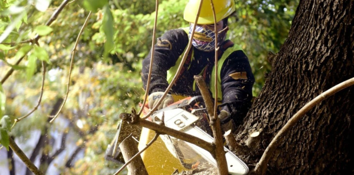 1620311462790.jpg?x=3&y=156&width=1280&height=640&rotate=0&scaleX=1&scaleY=1&ow=1280&oh=853&&cw=1920&ch=950