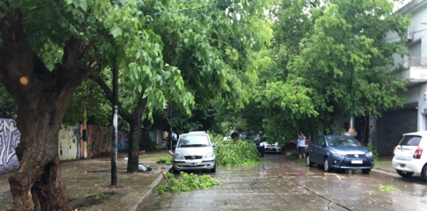 1545044092803.jpg?width=1173&y=15&height=587&rotate=0&scaleX=1&scaleY=1&ow=1200&oh=900&x=9&&cw=1920&ch=950