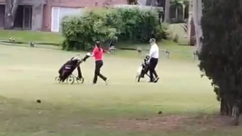 detuvieron a la golfista que ataco a palazos a una mujer de la plata detuvieron a la golfista que ataco a palazos a una mujer de la plata