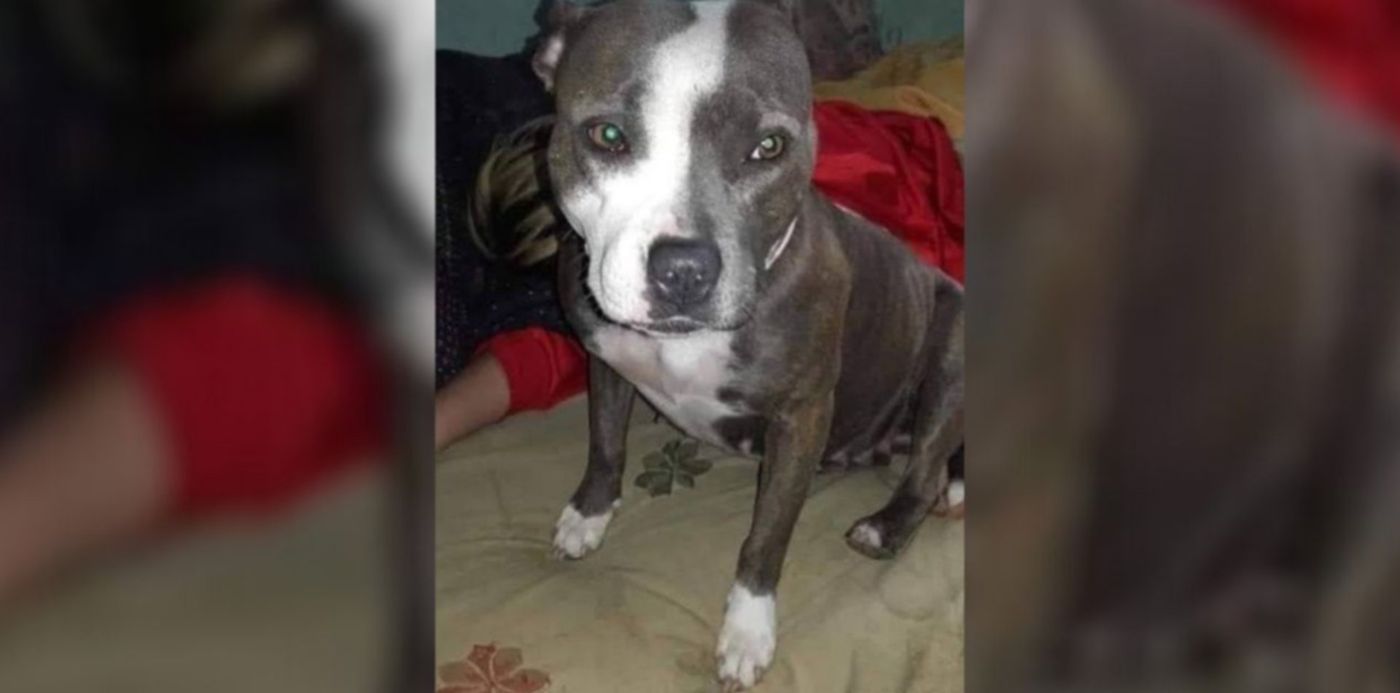 1604250891606.jpg?x=39&y=7&width=1272&height=636&rotate=0&scaleX=1&scaleY=1&ow=1350&oh=650&&cw=1920&ch=950