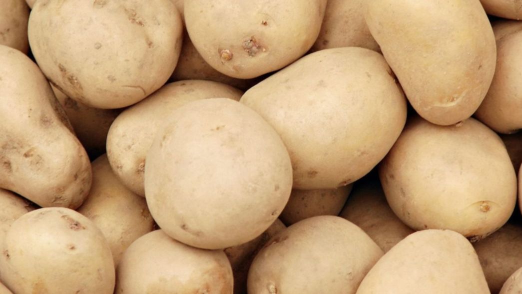 Cayeron los falsos verduleros: pasaban vendiendo papas y hacían entraderas en La Plata