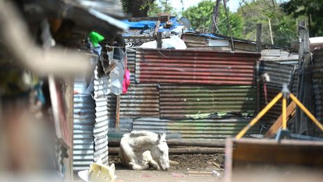 Avanza la reubicación del asentamiento de Hernández con la mudanza de más familias