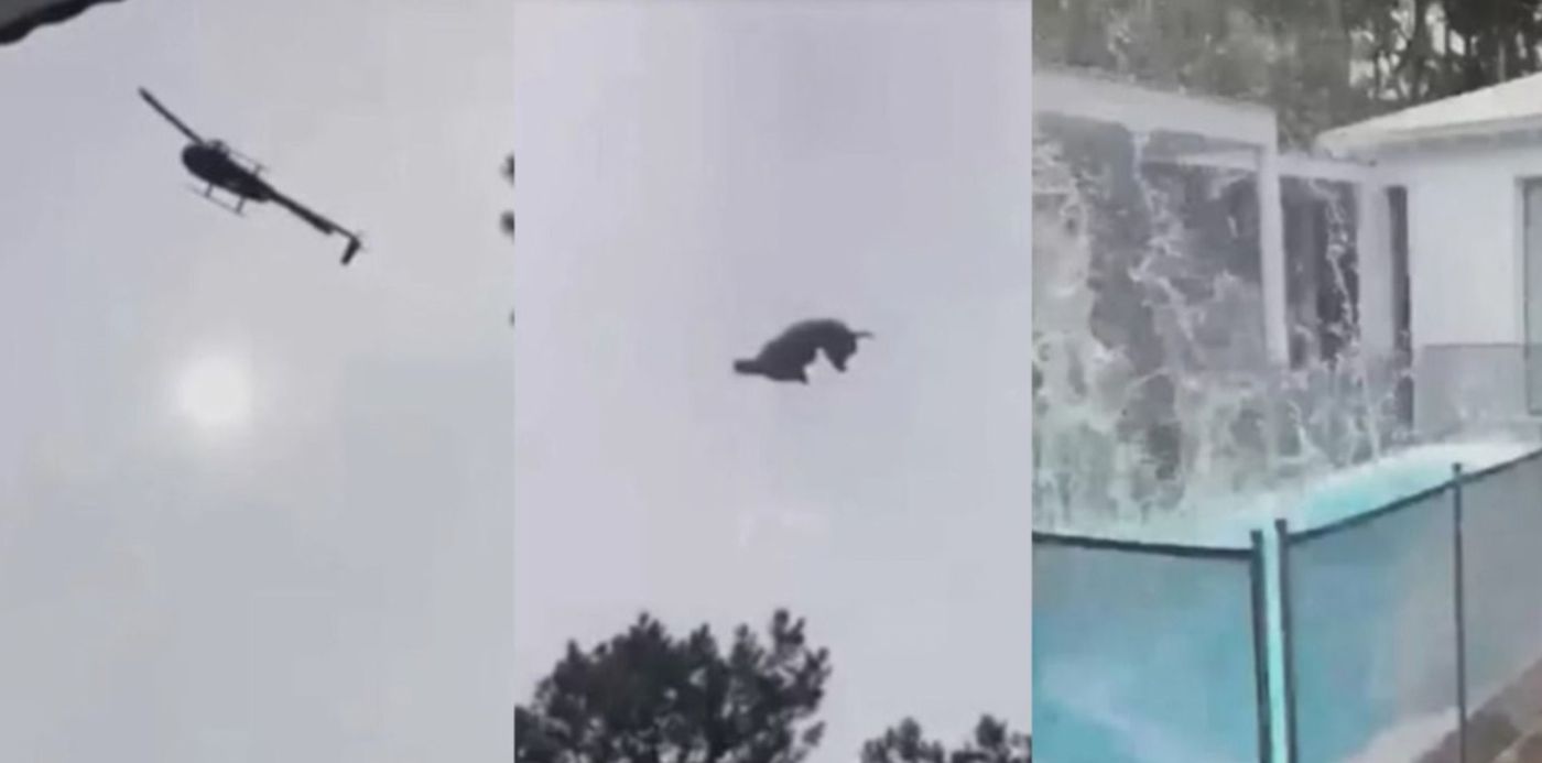 1579129089656.jpg?ow=1500&width=1490&rotate=0&scaleY=1&scaleX=1&oh=1000&x= 3&y=33&height=745&&cw=1920&ch=950