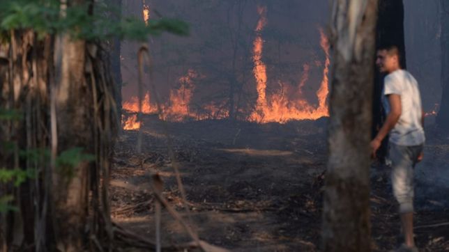los videos del impresionante incendio en el parque pereyra