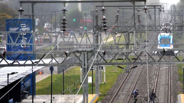el tren roca no llega a la plata por la caida de un arbol en el tendido electrico