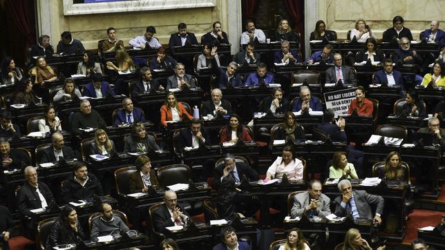 diputados retoma la actividad con el debate sobre fondos universitarios y los vetos de milei