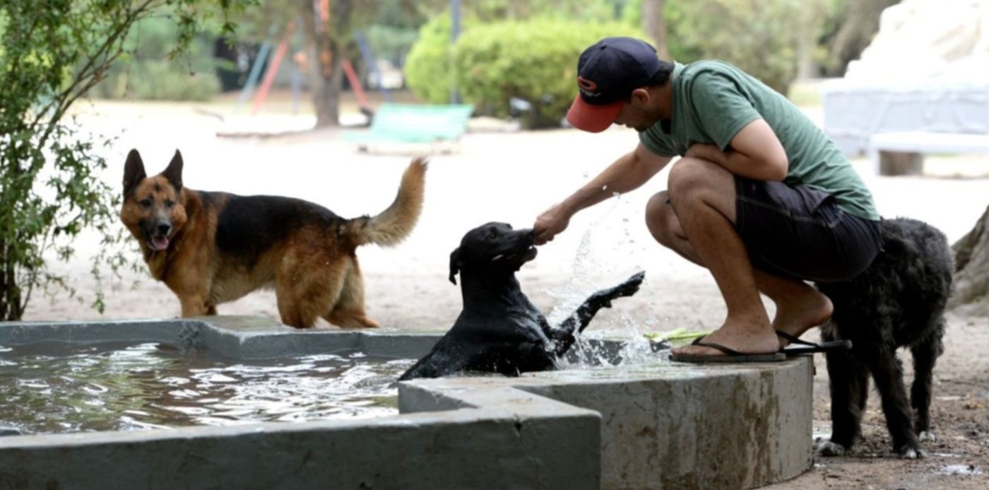 Calor soleado verano