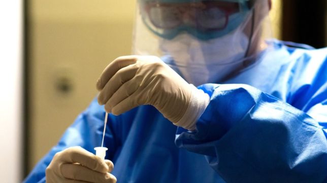 coronavirus en la plata: reportaron 41 muertes y 611 contagios
