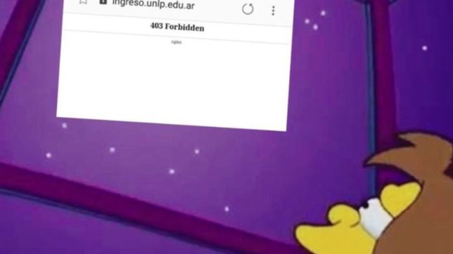 colapso el sistema de la unlp y estalllaron los memes