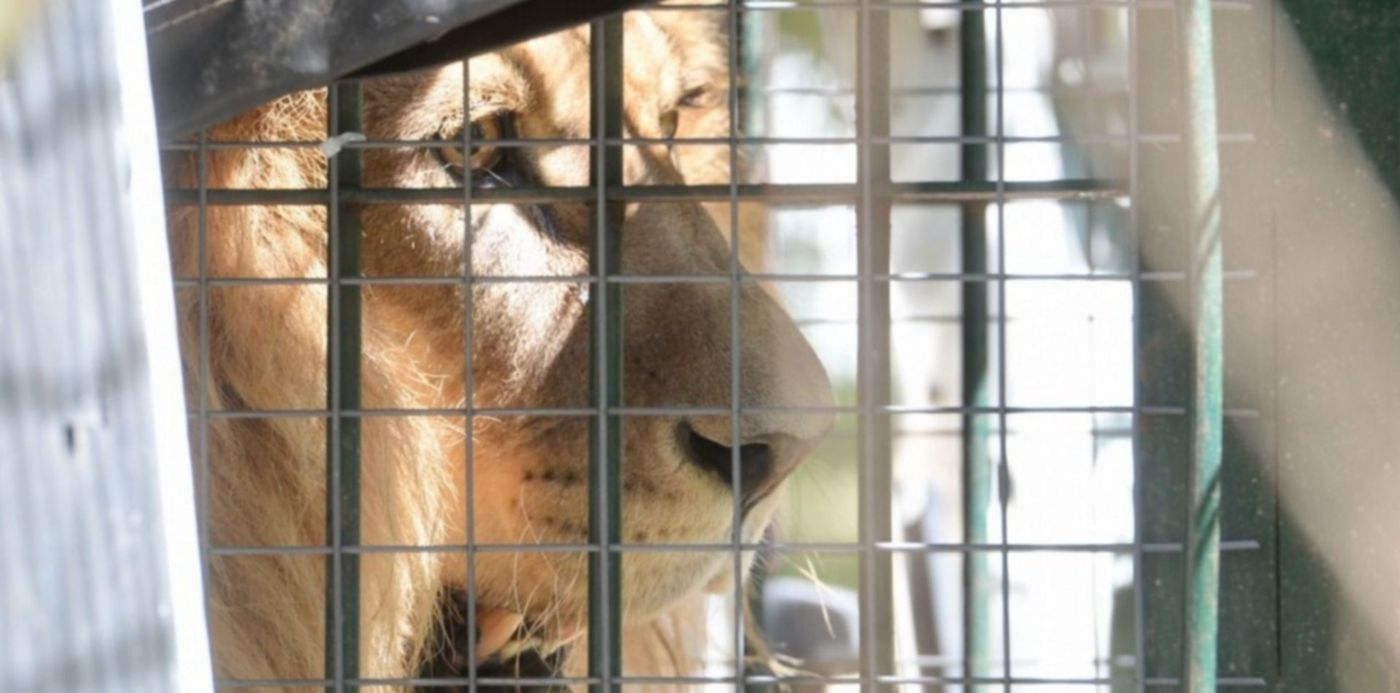 1543245257669.jpeg?x=9&y=2&width=1262&oh=633&height=631&rotate=0&scaleX=1&scaleY=1&ow=1280&&cw=1920&ch=950