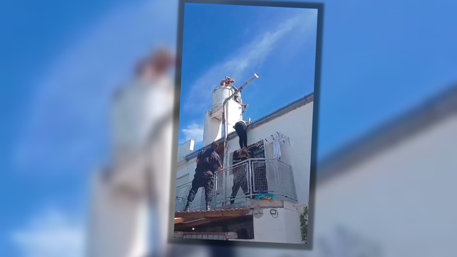 revelan que el hombre que se metio desnudo en un tanque de agua tenia pedido de captura