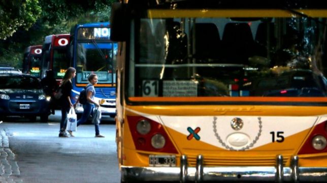 en la noche de los museos a la luz de la luna el transporte sera gratuito en la plata