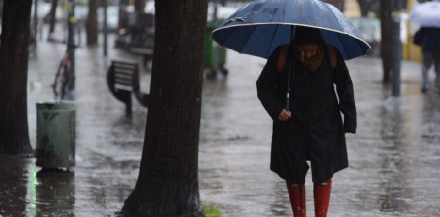 1568076410935.jpeg?x=5&height=635&rotate=0&scaleX=1&ow=1280&y=164&width=1270&scaleY=1&oh=899&&cw=1920&ch=950