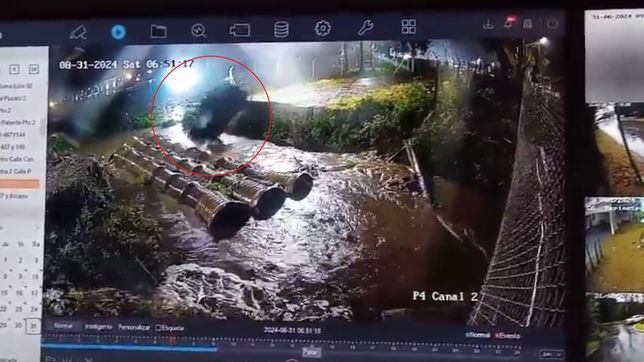 asi fue la increible caida de una camioneta a un arroyo de la plata
