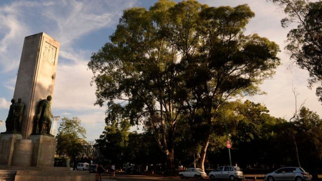 en medio de las pintadas a los arboles lanzan un foro para defenderlos