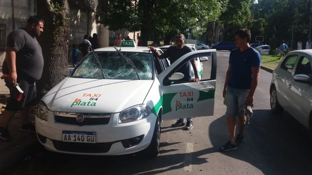 una rama cayo sobre un taxi en el hospital de ninos y dos personas se salvaron de milagro