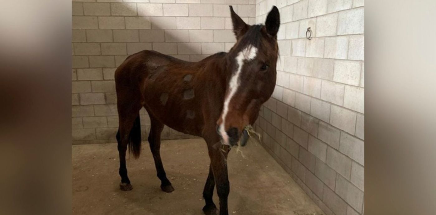 1562958312911.jpg?x=9&y=52&scaleY=1&ow=1450&oh=950&width=1432&height=716&rotate=0&scaleX=1&&cw=1920&ch=950