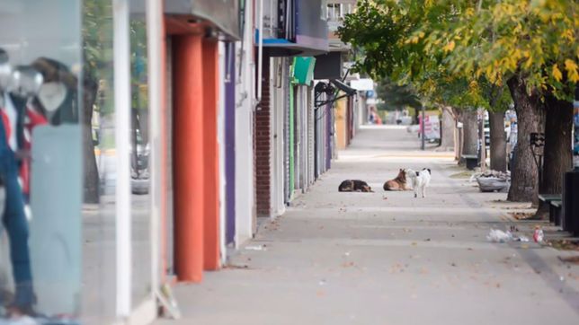 ¿que se puede hacer y que no este miercoles por el censo 2022?