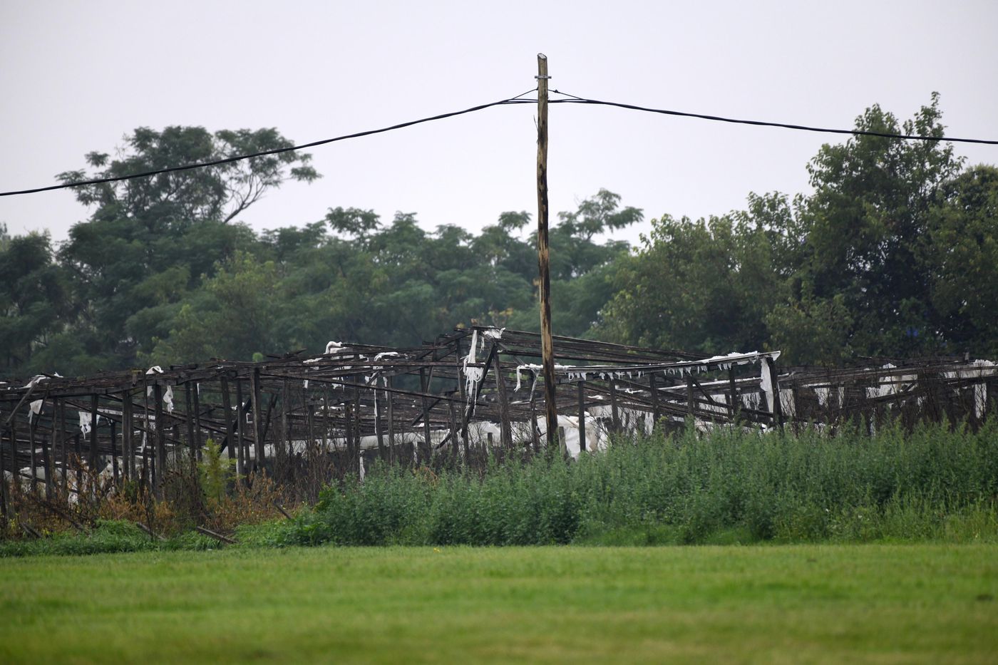 Quintas quinteros cordón frutihortícola invernáculos(12).jpg