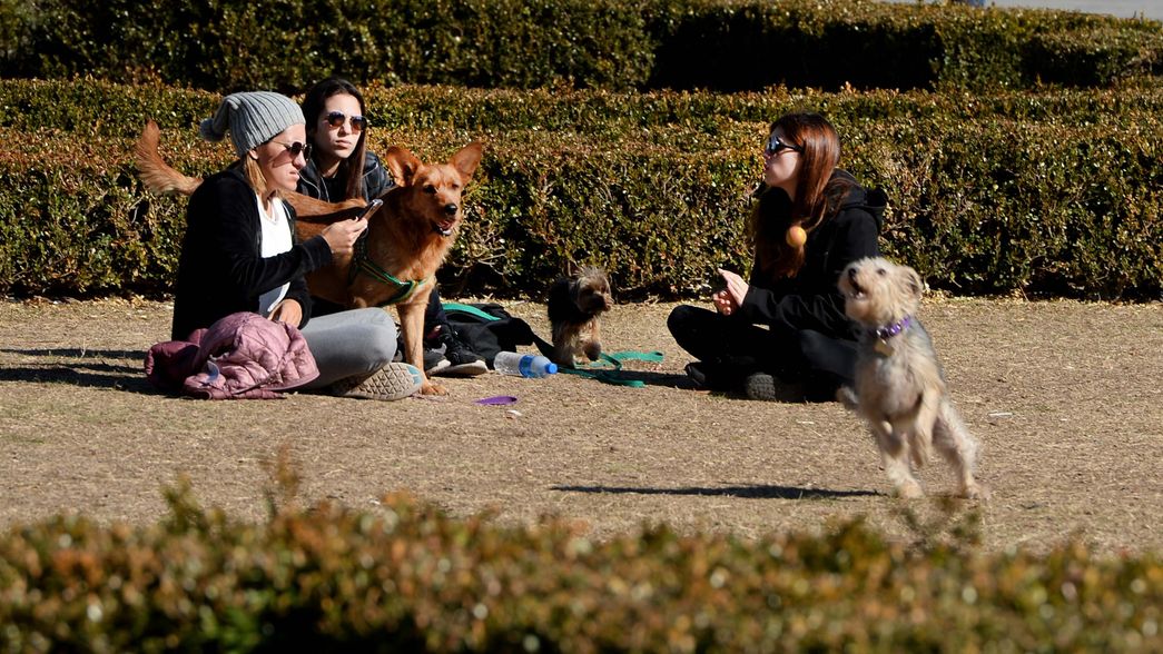 Tras las breves lluvias, el fin de semana en La Plata comienza con un clima fresco y sol
