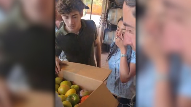 colapinto recibio tomates platenses antes del road show y elogio su calidad: son impresionantes