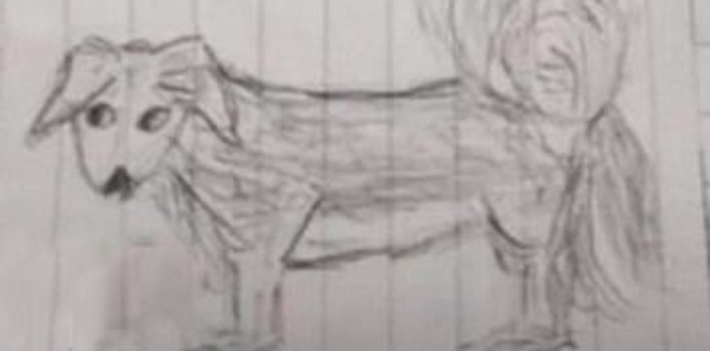 1643993028672.jpg?x= 4&y=52&width=365&height=182&rotate=0&scaleX=1&scaleY=1&ow=357&oh=241&&cw=1920&ch=950