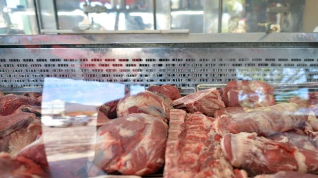 de madrugada, forzaron la persiana de una carniceria de la plata y entraron a robar