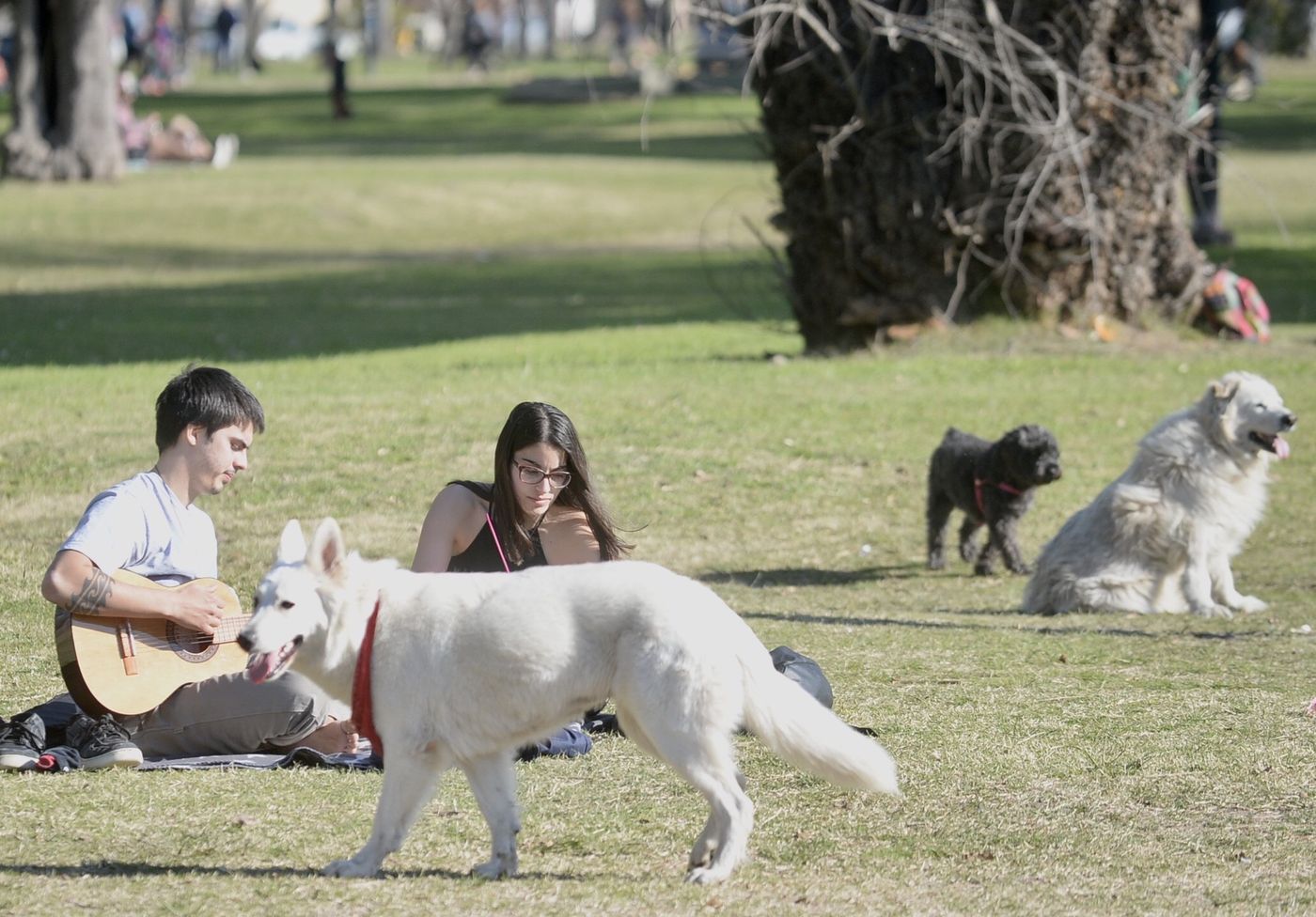 Clima sol soleado (5).jpg