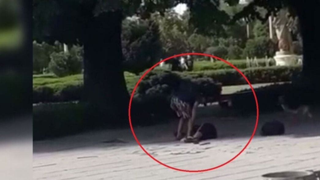 Gritos y miedo en Plaza Moreno: el video del ataque a puñaladas de un trapito