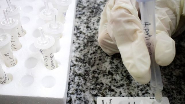 reportaron 15.631 contagios y 495 muertos por coronavirus