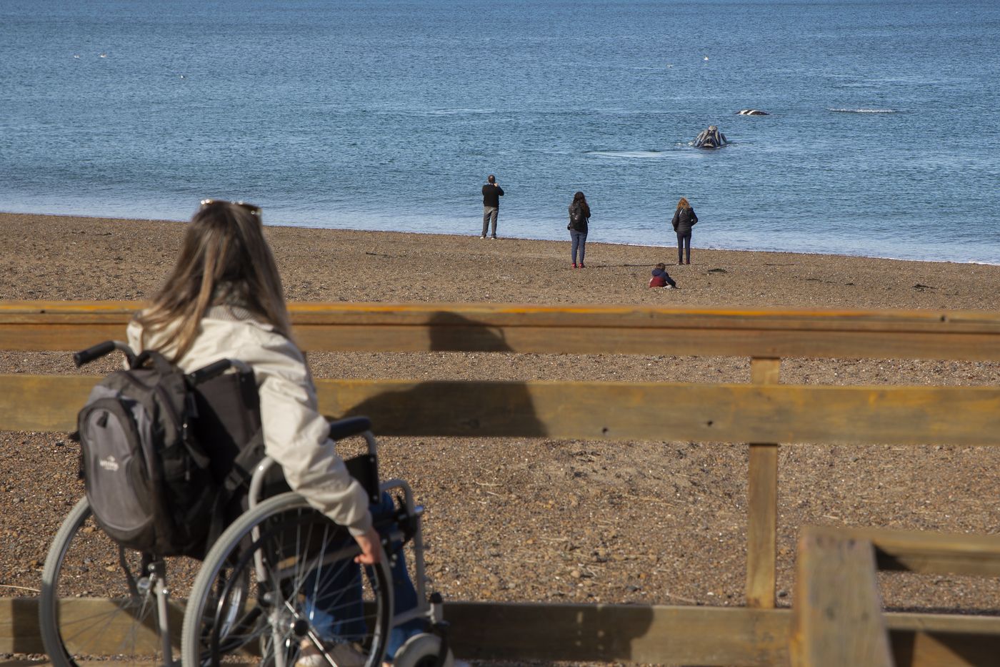 puerto madryn ballenas doradillo 2.jpg