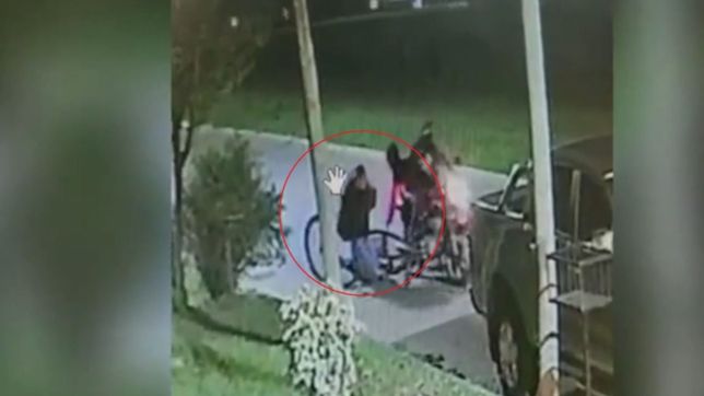 video: motochorros tiraron de la bicicleta a una joven para robarle en la plata