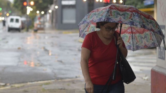 tras el calor, este miercoles llegan lluvias y tormentas a la plata