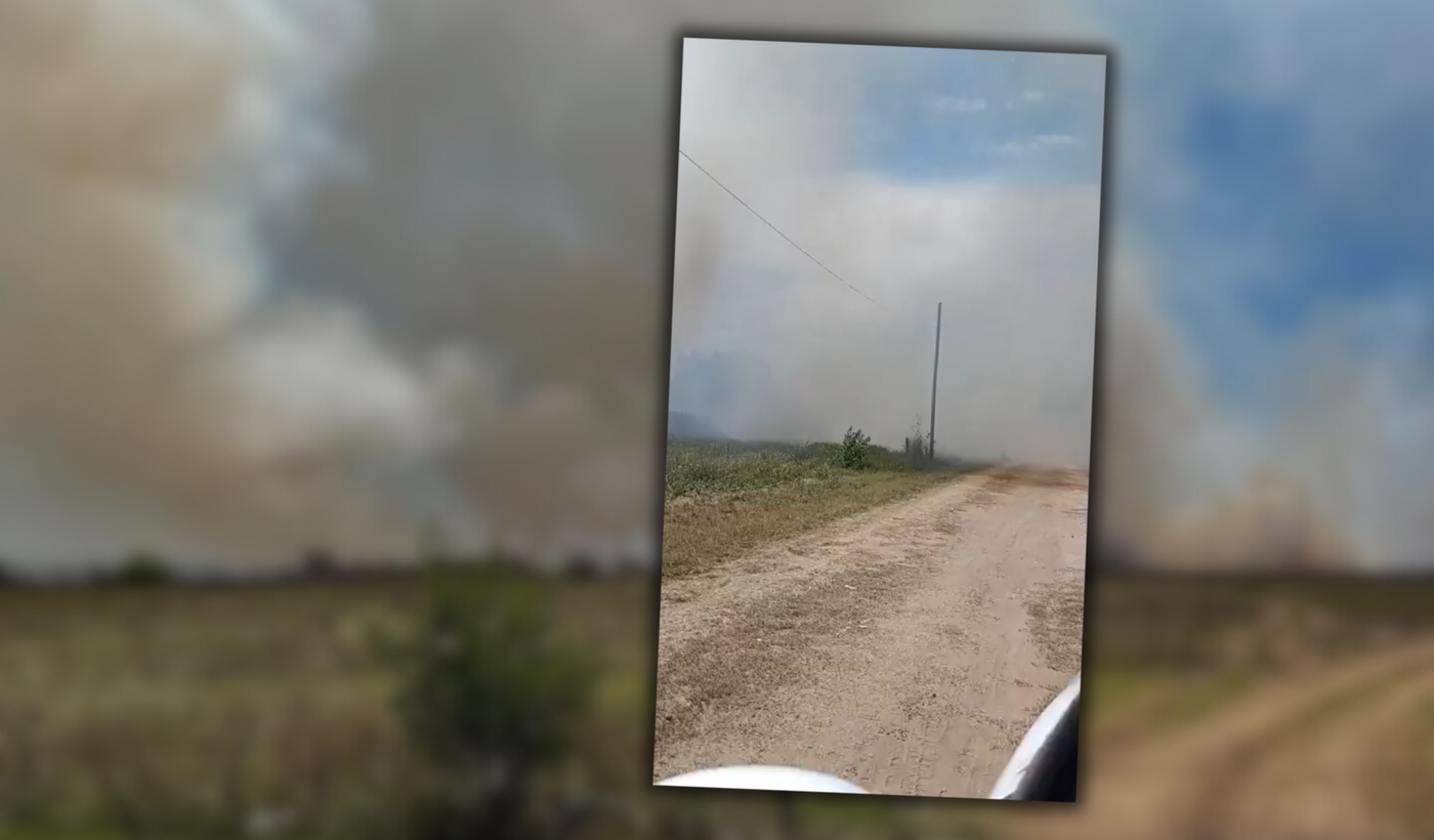 Portadas (1) (2).png