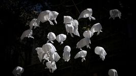 jornada cultural, exposiciones y mas en la agenda por los 50 anos del golpe jornada cultural, exposiciones y mas en la agenda por los 50 anos del golpe